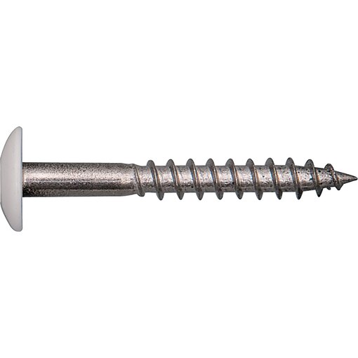 Fassadenplattenschraube FPS reinweiß, reinweiss, Fassadenplattenschrauben FPS RAL 9010